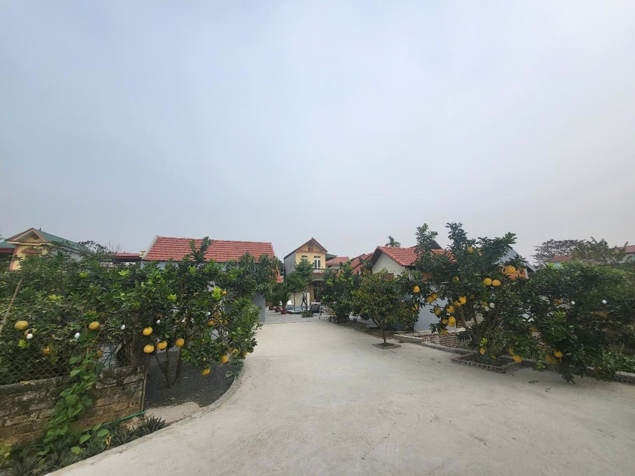 Tam Coc Pomelo Garden Leilighet Ninh Binh Eksteriør bilde